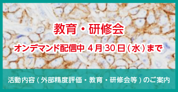 活動内容(外部精度評価・教育・研修会)のご案内