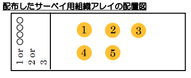 配布したサーベイ用組織アレイの配置図